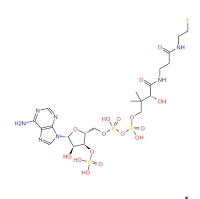 CAS 85-61-0% Coenzyme A